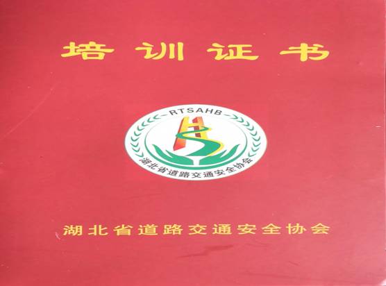 平安前行十年路 ——洪湖市平安校车服务有限公司运营十年记 平安前行十年路 ——洪湖市平安校车服务有限公司运营十年记